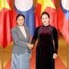Chủ tịch Quốc hội Nguyễn Thị Kim Ngân tiếp Chủ tịch Quốc hội Lào Pany Yathotou. (Ảnh: Trọng Đức/TTXVN)