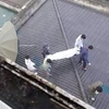 Nghệ An: Bệnh nhân tử vong khi rơi từ tầng 7 của bệnh viện