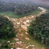 Khoảng rừng Amazon bị chặt phá tại Brazil. (Ảnh: AFP/ TTXVN)