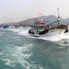 Đội tàu cá tỉnh Ninh Thuận. (Ảnh: Nguyễn Thành/TTXVN)