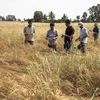 Cánh đồng lúa của nông dân xã Lình Huỳnh, huyện Hòn Đất bị ảnh hưởng nặng nề do hạn mặn. (Ảnh: Hồng Đạt/TTXVN)