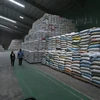 Sản phẩm gạo xuất khẩu được tạm trữ tại kho của công ty Lương thực Sông Hậu (Sông Hậu Food) thành phố Cần Thơ. (Ảnh: Vũ Sinh/TTXVN)