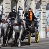 Người dân lưu thông trên đường phố thủ đô Vienna, Áo ngày 8/4/2020. (Ảnh: THX/TTXVN)