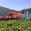 Công trình Vườn thượng uyển bay trên khu đất thuộc diện quy hoạch đất rừng phòng hộ của thành phố Đà Lạt (Lâm Đồng). (Ảnh: TTXVN phát)