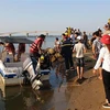 Lực lượng tìm kiếm cứu hộ, cứu nạn tỉnh Quảng Nam đang tìm kiếm các nạn nhân mất tích. (Ảnh: Trần Tĩnh/TTXVN)