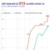 Việt Nam có 313 ca mắc COVID-19, 55% là cách ly ngay sau khi nhập cảnh