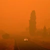 Màn khói dày đặc từ các đám cháy rừng bao phủ thị trấn Bemboka, bang New South Wales, Australia ngày 5/1/2020. (Ảnh: AFP/TTXVN)