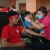 Chương trình Hành trình đỏ thu hút nhiều đoàn viên, thanh niên tham gia hiến máu tình nguyện. (Ảnh: Chu Hiệu/TTXVN)