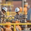 Nhân viên làm việc tại nhà máy của Tập đoàn năng lượng quốc gia Aramco, Saudi Arabia. (Ảnh: AFP/TTXVN)