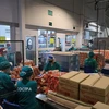 Công nhân nhà máy Sostra đóng gói sản phẩm trước khi xuất xưởng. (Ảnh: Trần Hiếu/TTXVN)