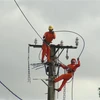 Công nhân Công ty Điện lực Quảng Bình sửa chữa điện lưới. (Ảnh: Đức Thọ/TTXVN)