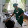Các bác sỹ Bệnh viện Đa khoa tỉnh Gia Lai điều trị cho các bệnh nhân mắc bệnh bạch hầu. (Ảnh: Quang Thái/TTXVN)