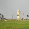 Máy bơm dầu tại một mỏ dầu ở thị trấn Qahtaniyah, tỉnh Hasakeh, Syria, ngày 11/3/2020. (Ảnh: AFP/ TTXVN)