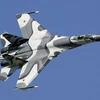Chiến đấu cơ Su-27 của Nga. (Nguồn: Wikipedia)