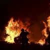 Lính cứu hỏa nỗ lực dập lửa tại đám cháy rừng ở Juniper Hills, bang California, Mỹ ngày 19/9/2020. (Ảnh: AFP/TTXVN)