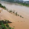 Lũ trên sông Hồng dâng cao gây ngập lụt nhiều diện tích hoa màu của người dân Lào Cai vào tháng 7/2020. (Ảnh: Hồng Ninh/TTXVN)