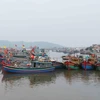 Tàu cá vào bờ trú bão tại phường Quỳnh Phương, thị xã Hoàng Mai, Nghệ An. (Ảnh: Nguyễn Oanh/TTXVN)