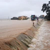 Nước lũ tràn qua đường tai Quảng Trị. (Ảnh: Hồ Cầu/TTXVN)