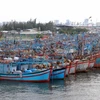 Tàu cá của ngư dân các tỉnh, thành phố miền Trung về neo đậu tránh bão an toàn tại Âu thuyền Thọ Quang, Đà Nẵng. (Ảnh: Trần Lê Lâm/TTXVN)