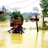Lũ lụt ở Quảng Bình. (Ảnh: Võ Dung/TTXVN)