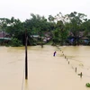 Nhiều địa phương tại huyện Thanh Chương bị cô lập do nước ngập, giao thông bị chia cắt. (Ảnh: Tá Chuyên/TTXVN)