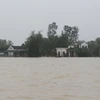 Nước lũ dâng cao, hàng ngàn hộ dân vũng trũng xã Hưng Yên Bắc, huyện Hưng Nguyên bị cô lập hoàn toàn. (Ảnh: Bích Huệ/TTXVN)