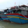 Các tàu cá neo đậu tránh trú bão số 13 tại âu thuyền xã Phú Hải, huyện Phú Vang. (Ảnh: Đỗ Trưởng/TTXVN)