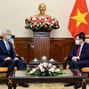 Phó Thủ tướng, Bộ trưởng Bộ Ngoại giao Phạm Bình Minh tiếp Thứ trưởng Ngoại giao Hàn Quốc Lee Tae-ho. (Ảnh: TTXVN)