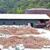 Nhà máy chế biến sắn Công ty Cổ phần Tinh bột Hồng Diệp trước thời điểm tạm dừng hoạt động. (Ảnh: Xuân Tư/TTXVN)