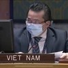 Đại sứ Phạm Hải Anh - Phó Trưởng phái đoàn đại diện thường trực Việt Nam tại LHQ phát biểu. (Ảnh: Hữu Thanh/TTXVN)