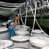 Công nhân hoạt động tại khu công nghiệp Thạch Thất, Hà Nội. (Ảnh: Danh Lam/TTXVN)