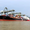 Bốc dỡ hàng hóa tại cảng Cát Lái, TP Hồ Chí Minh. (Ảnh: Thanh Vũ/TTXVN)
