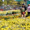 Chiều 10/2/2021 (tức 29 Tết âm lịch), các điểm bán hoa trong nội ô thành phố Rạch Giá (Kiên Giang) có khá đông người đến mua về bày Tết. (Ảnh: Lê Huy Hải/TTXVN)