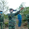 Chiến sỹ Đồn Biên Phòng A Pa Chải, Điện Biên tuần tra kiểm soát khu vực biên giới. (Ảnh: Xuân Tư/TTXVN)