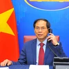Bộ trưởng Ngoại giao Việt Nam Bùi Thanh Sơn. (Ảnh: Minh Đức/TTXVN)
