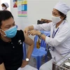 Các y, bác sỹ Bệnh viện Đa khoa tỉnh Ninh Thuận tiêm vaccine phòng COVID-19 cho đối tượng ưu tiên. (Ảnh: Công Thử/TTXVN)