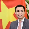 Thứ trưởng Bộ Ngoại giao Đặng Hoàng Giang trả lời phỏng vấn báo chí về kết quả tháng Chủ tịch HĐBA LHQ 4/2021 của Việt Nam. (Ảnh: TTXVN phát)