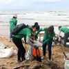Thu gom rác ở bãi biển thị trấn Dương Đông, huyện Phú Quốc (Kiên Giang). (Ảnh: Lê Huy Hải/TTXVN)