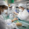 Hơn 1000 công nhân Công ty TNHH New Wing Interconnect Technology (khu công nghiệp Vân Trung) đã đi làm trở lại sau 2 lần test âm tính với SARS-CoV-2. (Ảnh: Danh Lam/TTXVN)