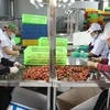 Sơ chế vải thiều Hải Dương xuất đi Nhật tại nhà máy của Công ty cổ phần Ameii Việt Nam. (Ảnh: Mạnh Minh/TTXVN)