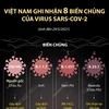 Việt Nam đã ghi nhận 8 biến thể của virus SARS-CoV-2