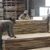 Nhà máy chế biến gỗ và ván sợi công nghiệp MDF tại Nghệ An. (Ảnh: Bích Huệ/TTXVN)