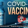 [Audio] Cảnh giác với những "lời mời" tiêm vaccine COVID-19 trên mạng