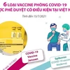 6 loại vaccine phòng COVID-19 được phê duyệt có điều kiện tại Việt Nam