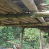 Cầu làm tạm bợ từ tre nứa, rất nguy hiểm cho người dân qua lại. (Ảnh: Nguyễn Việt Dũng/TTXVN)