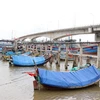 Tàu thuyền neo đậu tránh trú bão số 5 ở khu neo đậu Bắc Cửa Việt, thị trấn Cửa Việt, huyện Gio Linh, Quảng Trị. (Ảnh: Nguyên Lý/TTXVN)