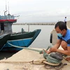 Tàu thuyền vào neo đậu an toàn tránh bão số 5 tại Khu neo đậu Phú Hải, huyện Phú Vang, Thừa Thiên-Huế. (Ảnh: Đỗ Trưởng/TTXVN)