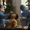 Nhân viên y tế lấy mẫu cho người dân tổ 5, ngõ Kim Quan, phường Việt Hưng tối 19/9. (Ảnh: Minh Quyết/TTXVN)