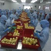Chế biến sản phẩm dứa đóng hộp xuất khẩu tại nhà máy của Công ty CP Xuất nhập khẩu Nông sản thực phẩm An Giang (tỉnh An Giang). (Ảnh: Vũ Sinh/TTXVN)