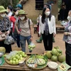 Thành viên tham gia tour về nguồn tham quan vườn trái cây tại Khu du lịch sinh thái Tam Tân, huyện Củ Chi, Thành phố Hồ Chí Minh. (Ảnh: TTXVN phát)